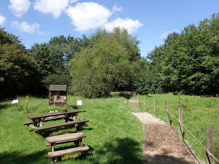Foto des Lehrgartens Finkens Garten in Köln-Rodenkirchen mit Picknicktischen, Insektenhotel und Barfuß-Pfad im Grünen.